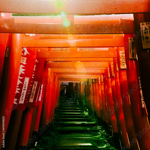 Sasuke Inari shrine photo