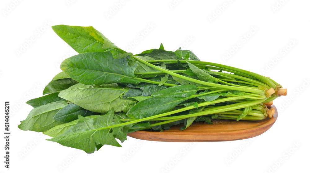 Spinach leaves isolated on transparent png Spinach leaves isolated on transparent png