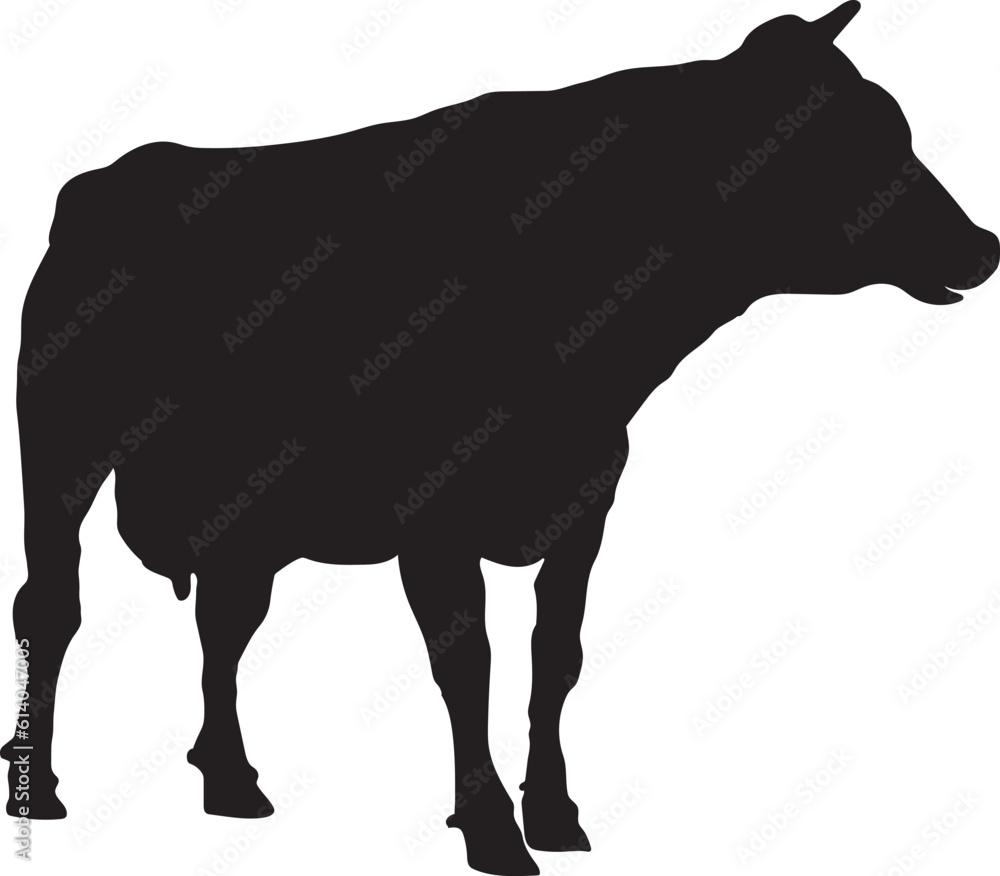 angry cow illustration, cow vector suitable for eid al adha logo, cow silhouette suitable for qurban coupon background angry cow illustration, cow vector suitable for eid al adha logo, cow silhouette suitable for qurban coupon background