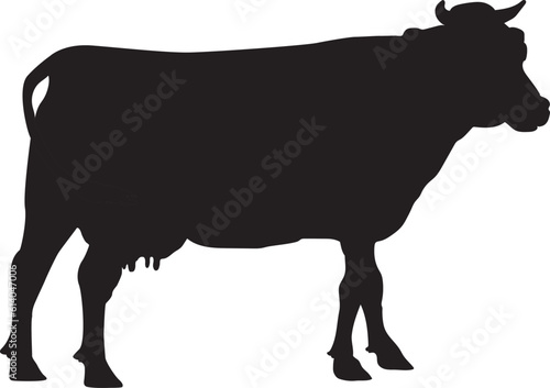 angry cow illustration, cow vector suitable for eid al adha logo, cow silhouette suitable for qurban coupon background