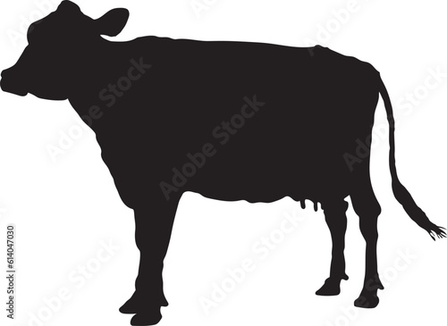 angry cow illustration, cow vector suitable for eid al adha logo, cow silhouette suitable for qurban coupon background