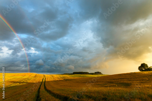 fields rainbow and sunset in north poland