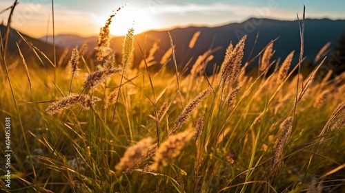 at dusk, untamed grass in the highlands. GENERATE AI