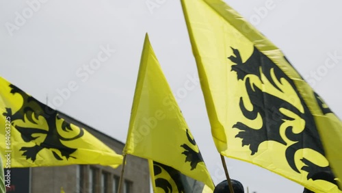 Several Flags of Flanders, called the Vlaamse Leeuw (