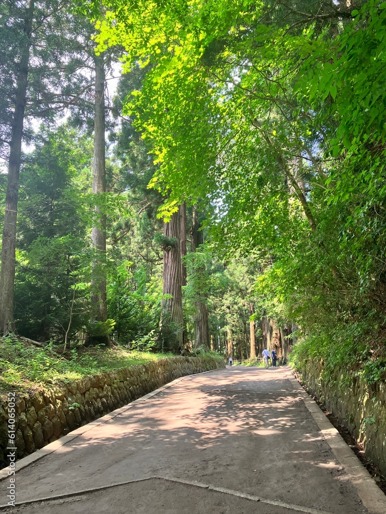 Φωτογραφία 世界遺産である中尊寺参道の美しい森林風景