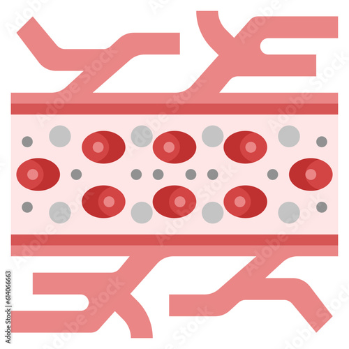 capillary