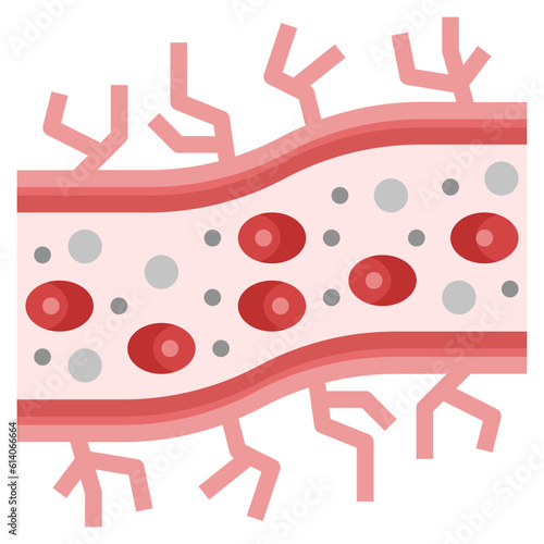 capillary