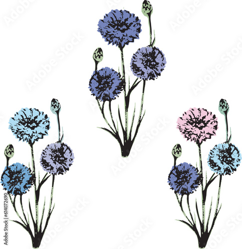 矢車菊　ヤグルマギク　ヤグルマソウ　夏　花　手描き　アナログタッチ　イラスト素材
