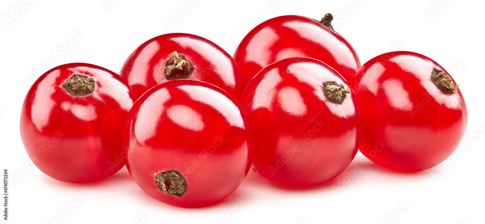 Red currant isolated Red currant isolated
