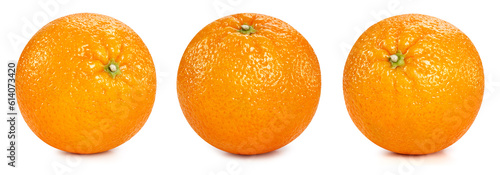 Orange fruits isolated Clipping Path