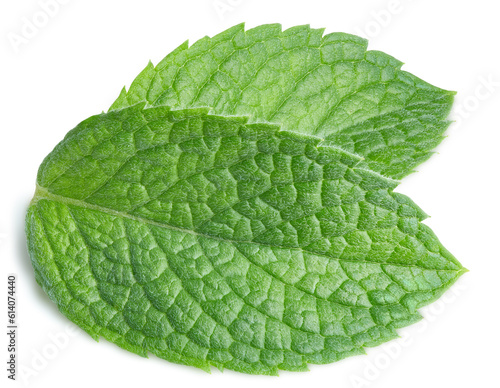 Mint pepper leaf isolated on white