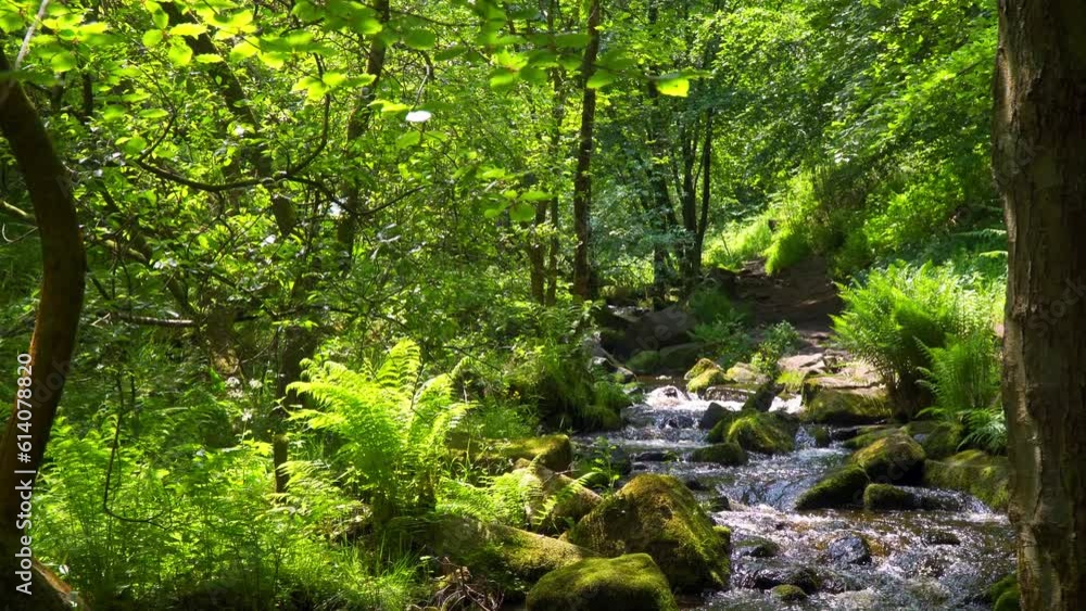 Slow flowing river stream flowing gently over rocky waterfalls. Wyming Brook, Yorkshire, UK Slow flowing river stream flowing gently over rocky waterfalls. Wyming Brook, Yorkshire, UK