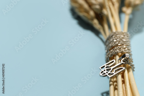 Chain with Ukrainian coat of arms and spikelets on blue background, closeup