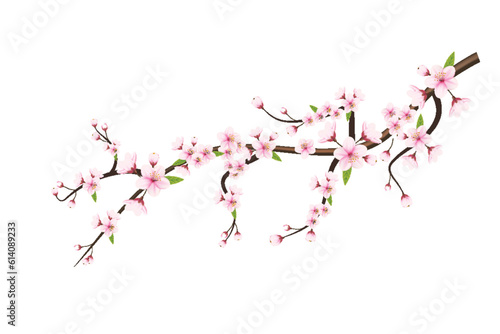Fotografia Realistic blooming cherry flowers and petals illustration,cherry blossom vector