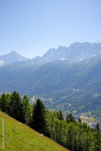 Paysage de montagne en été