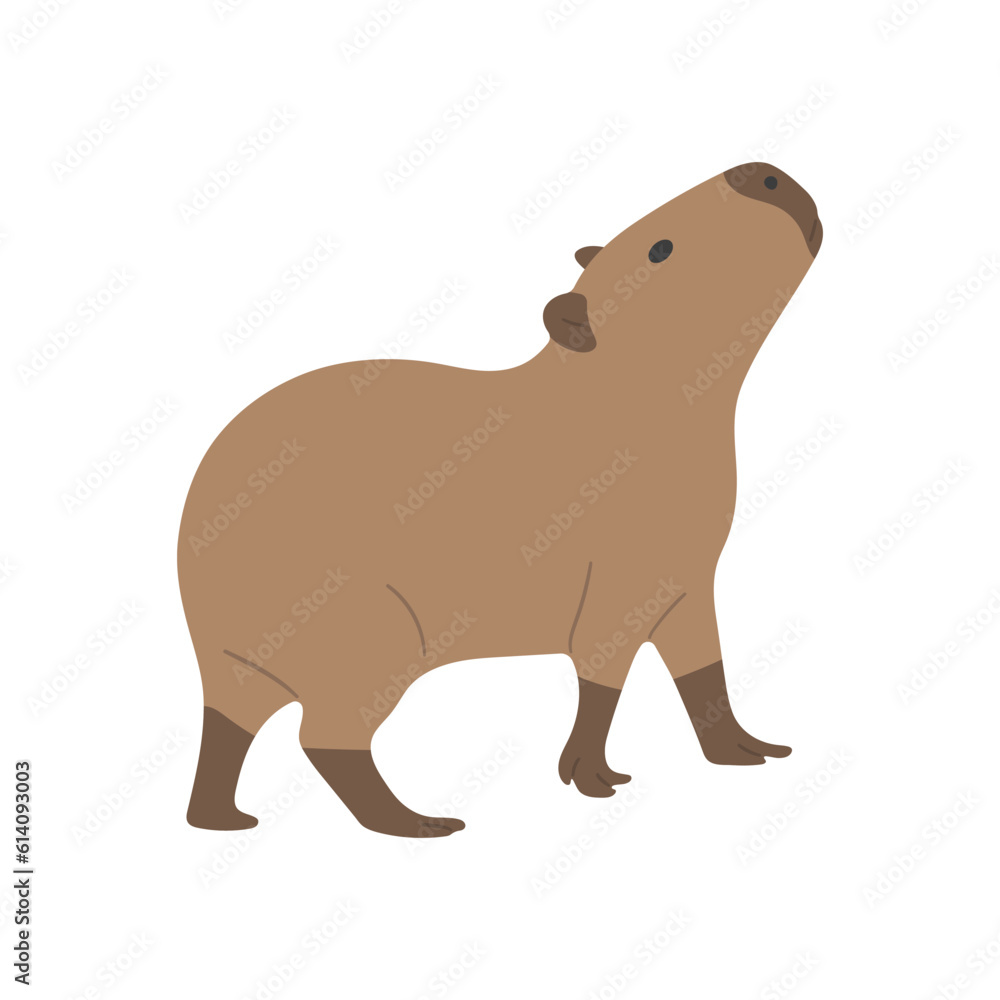 capybara single 24 cute on a white background, vector illustration. capybara single 24 cute on a white background, vector illustration.