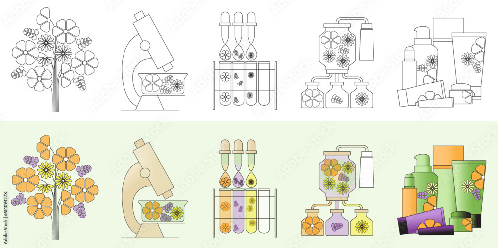 Fototapeta premium The process of making natural cosmetics. Make cosmetics from flowers. Skincare with natural cosmetics.