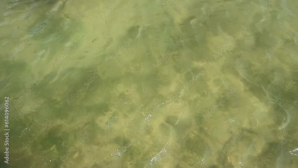 surface water flow surface water flow