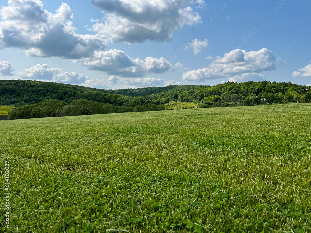 A wonderful open-air park. sunny weather and light clouds in the sky create an amazing atmosphere. Beautiful sunny summer day A wonderful open-air park. sunny weather and light clouds in the sky create an amazing atmosphere. Beautiful sunny summer day