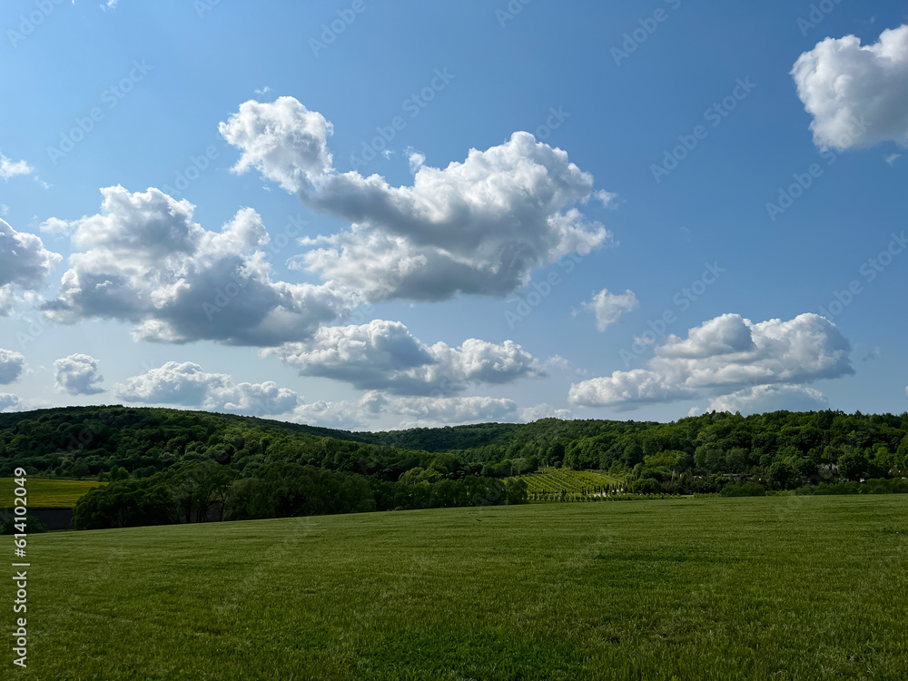 A wonderful open-air park. sunny weather and light clouds in the sky create an amazing atmosphere. Beautiful sunny summer day A wonderful open-air park. sunny weather and light clouds in the sky create an amazing atmosphere. Beautiful sunny summer day