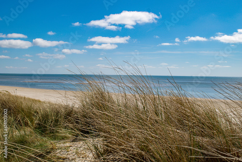 Blåvand beach with blue sky