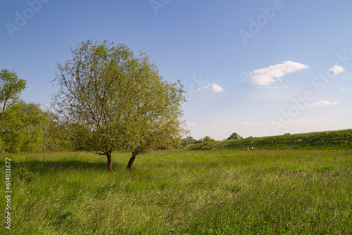 Typical Polish Landscape | Typowy Polski Krajobraz (Wały Uszwicy)