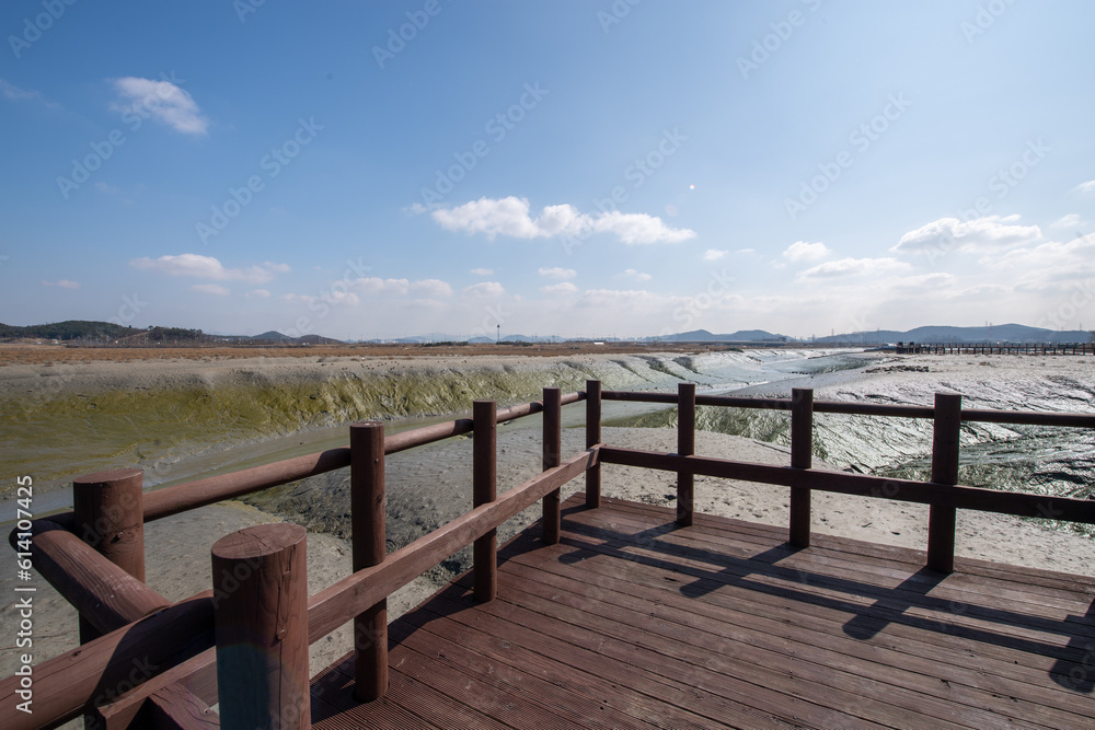 Obraz premium boardwalk to the beach