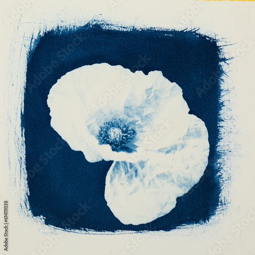 Image created in cyanotype technique on paper