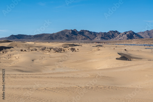 Elsen Tasarkhai or mini-Gobi is located 280km west of Ulaanbaatar in Mongolia, It is a sand dune that stretches 80km long, and 5km wide in Hugnu-Tarna National Park