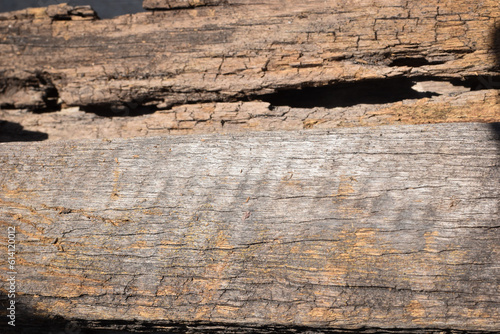 rotten old wood as background