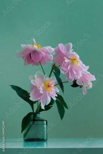 Pink peonies. Bouquet of peonies in a glass vase on a green background.