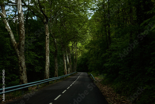 driving through the forest of Les Guilleries in Girona. Catalonia. Spain photo