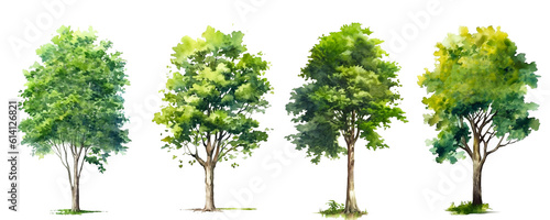 Watercolor green tree set isolated on white background. PNG transparent background. AI Generative.