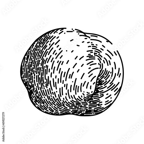 chickpea hummus arabic hand drawn. food vector, raw shot, lebanese top, pea chana, cooking view chickpea hummus arabic vector sketch. isolated black illustration