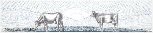 LandscapTwo cows  against the background of a rural landscape with a sunrise  illustration in a the engraving style.e_rural_and_cow