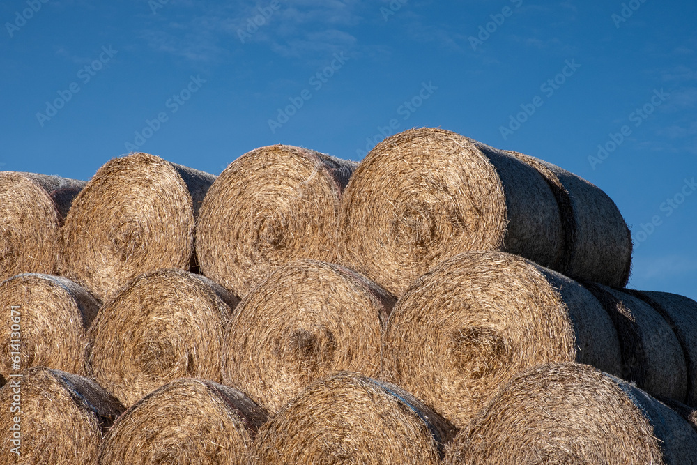 Stacked hay bales in a Lincolnshire field Stacked hay bales in a Lincolnshire field