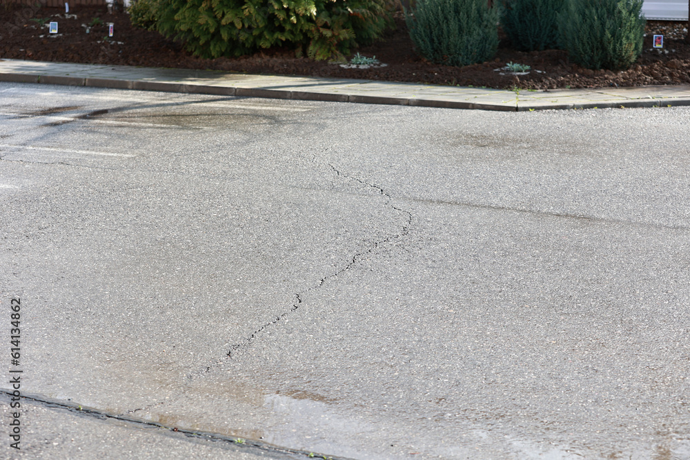 Obraz premium glezăShadows on the asphalt. Cracks in the asphalt. The shadow of the tree on the asphalt. Siulet.