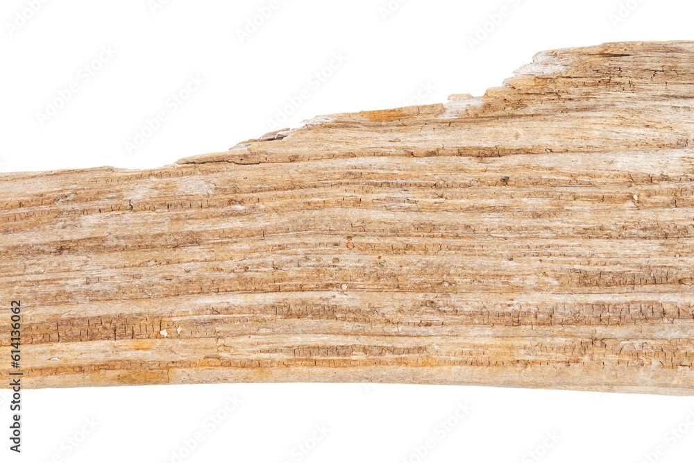 Part of driftwood isolated on white Part of driftwood isolated on white