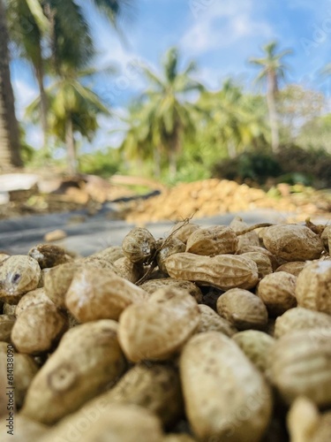 Baby nuts