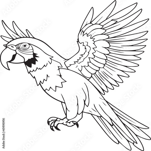 Large Print Parrots Coloring Page for School Kids