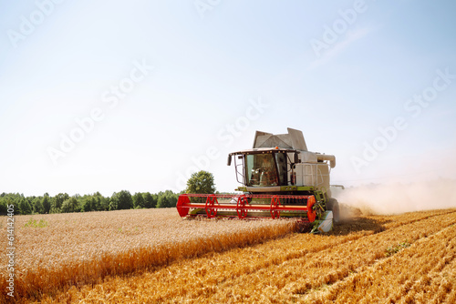 Harvesting. Modern industrial combine harvester harvests wheat cereals on a summer day. Grain harvester. 