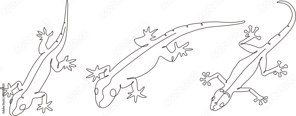 set of animal chameleon and lizard line art , continuous line. for logo design and prinable
