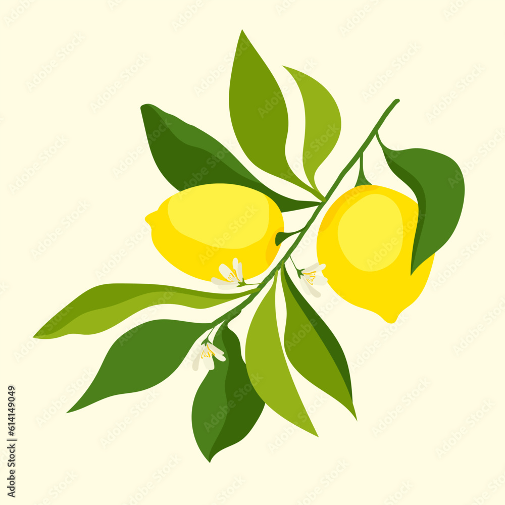 fresh illustration of several lemons on a branch. yellow sour lemons with flowers and green leaves. summer citrus fruits.