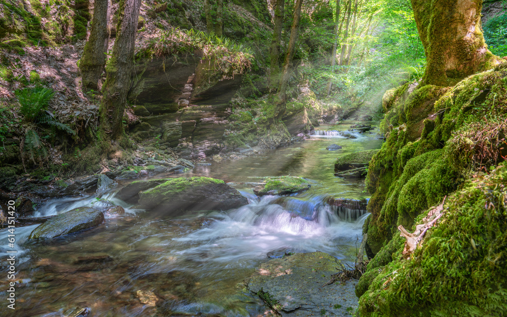 Endert creek, Eifel area, Rhineland-Palatinate, Germany Endert creek, Eifel area, Rhineland-Palatinate, Germany