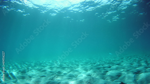 Underwater sea ocean deep coral blue
