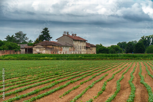 Rural landscape near Borgarello, Pavia province