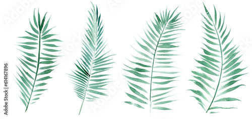 Clipart palm leaves watercolor  Wedding design of tropical invitations.