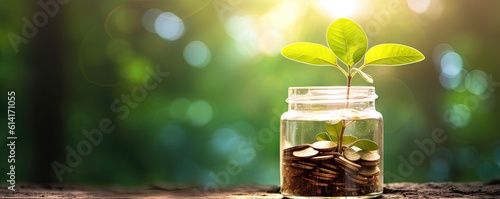 Financial Growth. Money Jar with Plant on Wooden Table. Business Investment Concept. Savings and Success