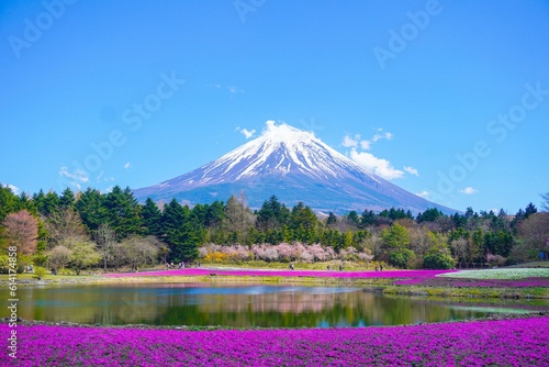 mountain in autumn