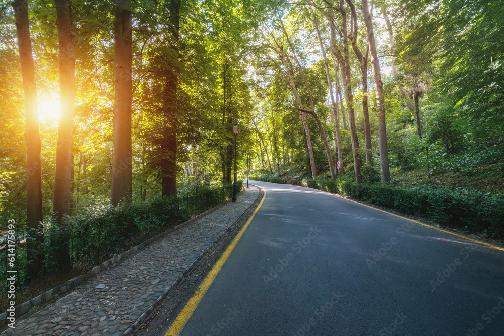 Fototapeta premium Road of Alhambra Forest at sunset - Granada, Andalusia, Spain